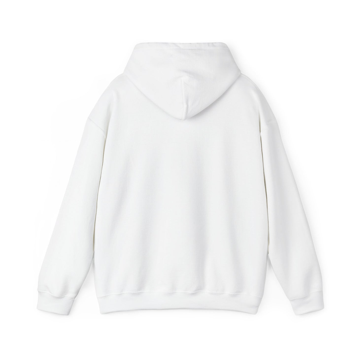 Light of the World Unisex Christian Model Hoodie